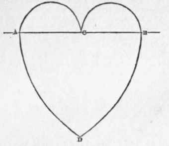 How To Describe A Heart 18