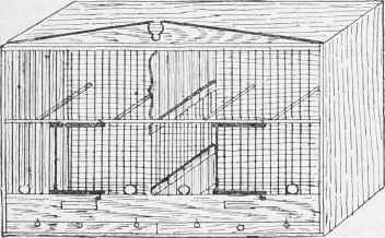 Breeding Cage for Small Birds.