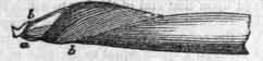 Boring Machines 247