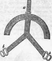 Horse Shoes 668