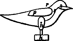 Bird Clocks 400248