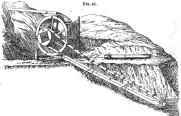 Pumps And Siphons Part 3 40048