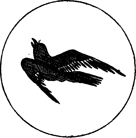 Japanese plate.