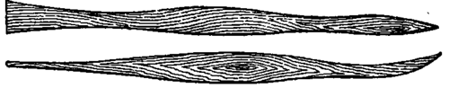 The Tools 500182