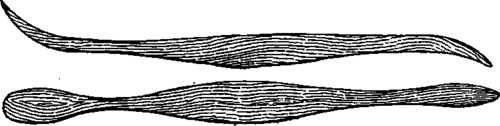 The Tools 500184