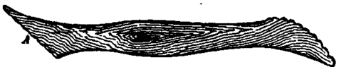The Tools 500187