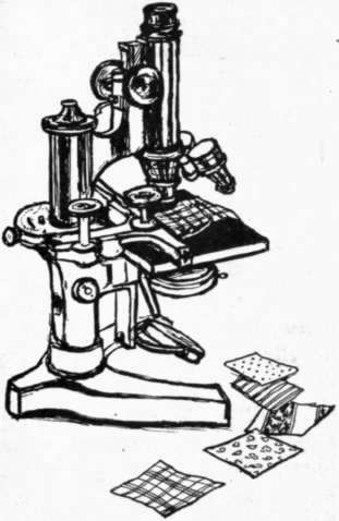 Fig 144. The microscope reveals many things.