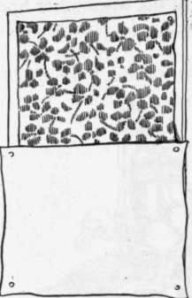 Fig. 145. The test for fading.