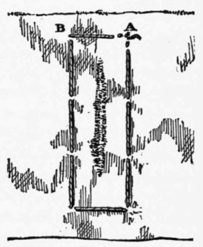 XIX-Darning-60