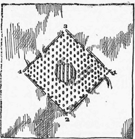 XIX-Darning-66