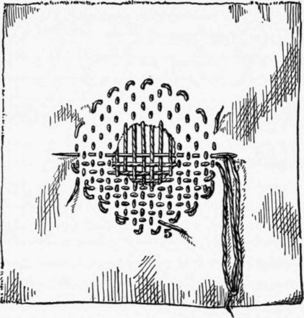 XIX-Darning-68