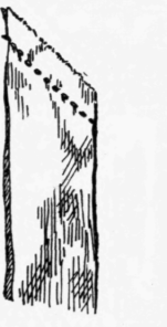 XV-Mitred-Corners-39
