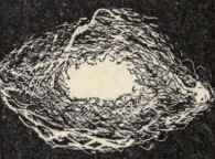 How Can You Recognize The Fiber From Which The Clo 178