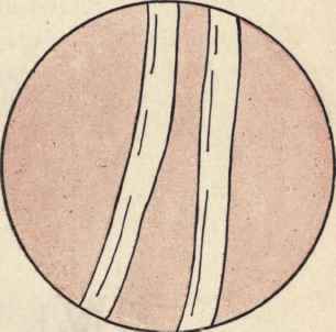 How Can You Recognize The Fiber From Which The Clo 180