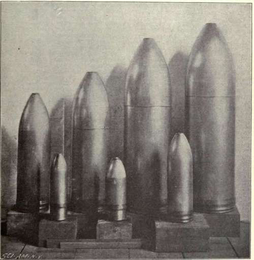 Group Of Common Shell At The Washington Navy Yard