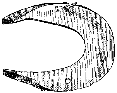 Historical Development Of The Horseshoe 819 07 fig20