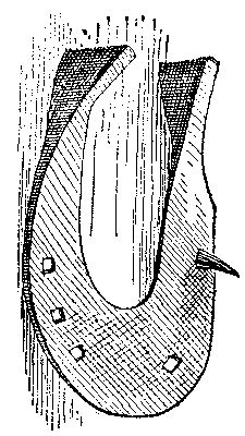 Historical Development Of The Horseshoe 819 07 fig21