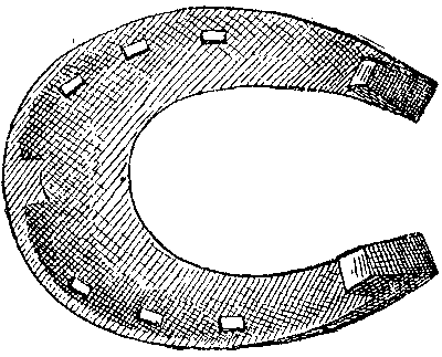 Historical Development Of The Horseshoe 819 08 fig22