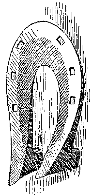Historical Development Of The Horseshoe 819 08 fig23