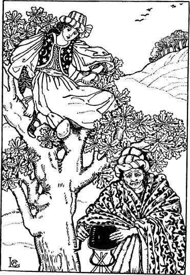 The Damsel and the Old Witch