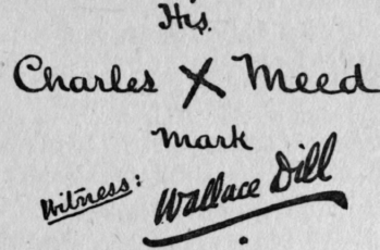 A Mark Signature 25