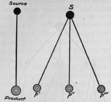 A single Product, Several Products from one Source