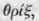Labiatae Labiate Plants Part 2 1211