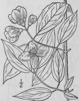 2 Philadelphia L Sp Pl 470 1753 531