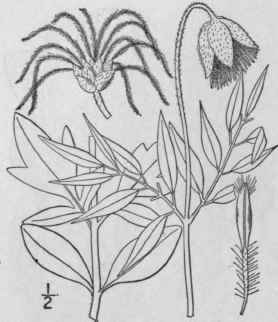 9 Viorna Frem Ntii S Wats Heller Fremont s Leather 295