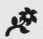 Logo Flower