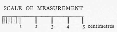 Scale Of Measurement, Etc.