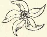A Chapter to Study Part 2 15