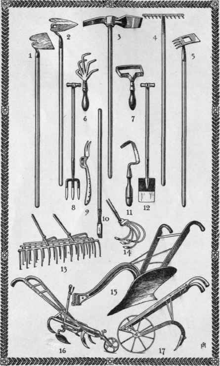 Tools For Destroying Weeds