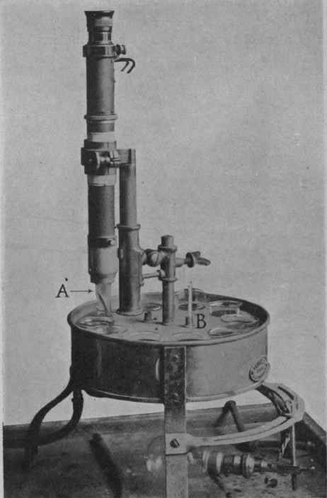 Fig. 46. immersion refractometer, with rotating water.bath. A, prism, which dips into the liquid in the glass beneath; B, bath with thermometer.