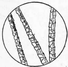 Fig. 59