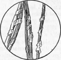 Fig. 60