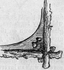 Fig. 43.
