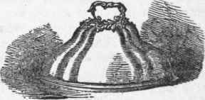 Dish Cover.