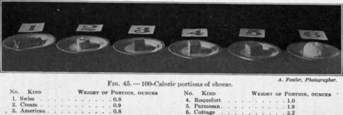 Cheese Composition And Nutritive Value 48