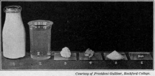 Fig. 1. Composition of milk.