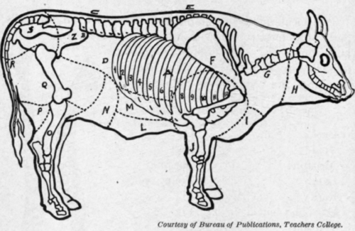 Fig. 58.   Cuts of beef.