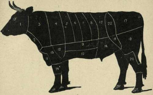 Cuts Of Meats And Their Uses 9933