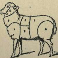 Mutton 9934
