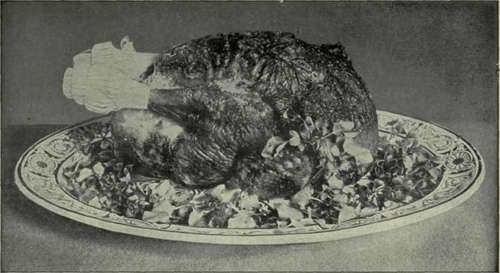 ROAST TURKEY.