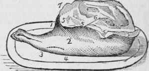 Haunch Of Venison 117