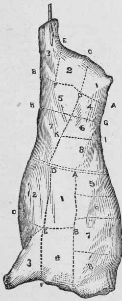 How To Cut And Cure Meats