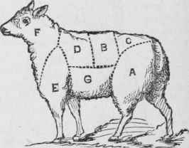 Mutton