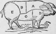 Pork