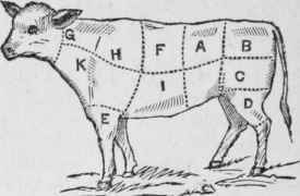 Veal