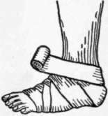 Bandages And Bandaging 216